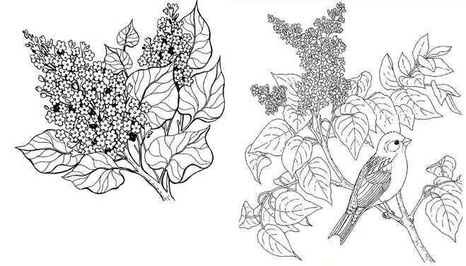 цветущее дерево. весенние раскраски витражи для детей. черемуха для раскрашивания детям. сирень раскраска. букет сирени раскраска.