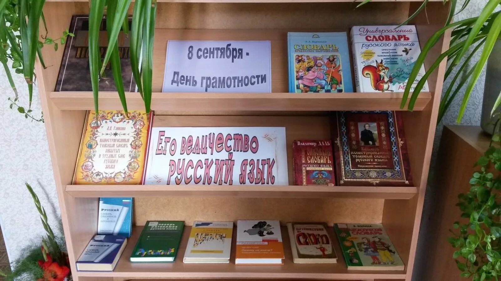 К 8 в библиотеке название. Выставка ко Дню грамотности в библиотеке. Книжная выставка к Дню грамотности. Книжная выставка ко Дню грамотности в библиотеке. Международный день грамотности выставка в библиотеке.