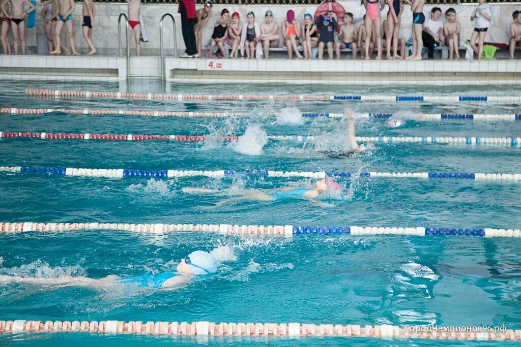Дворец водных видов спорта первоуральск сайт. ДВВС Первоуральск. Бассейне ДВВС Первоуральск. Первоуральск бассейн дворец водных видов спорта. Первоуральск бассейн дворец пионеров.