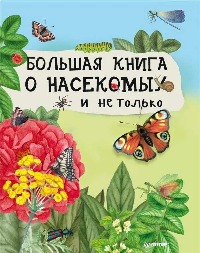 Книжные насекомые. Большая книга насекомых. Детская энциклопедия. Энциклопедия. Большая книга насекомых.