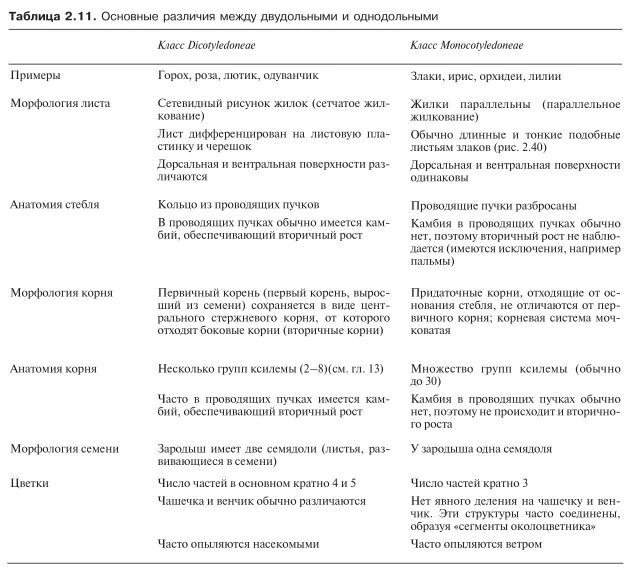 Главное различие двудольных и однодольных. Различия однодольных и двудольных растений. Различия однодольных и двудольных растений таблица. Сравнительная характеристика класса Однодольные и двудольные. Сравнительная характеристика однодольных и двудольных.