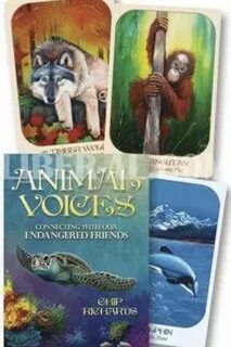 Our endangered planet