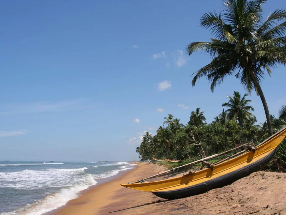 Шри ланка бентота курорт. Калутара. Отель avani kalutara resort. Mermaid hotel club 3 калутара. Калутара.