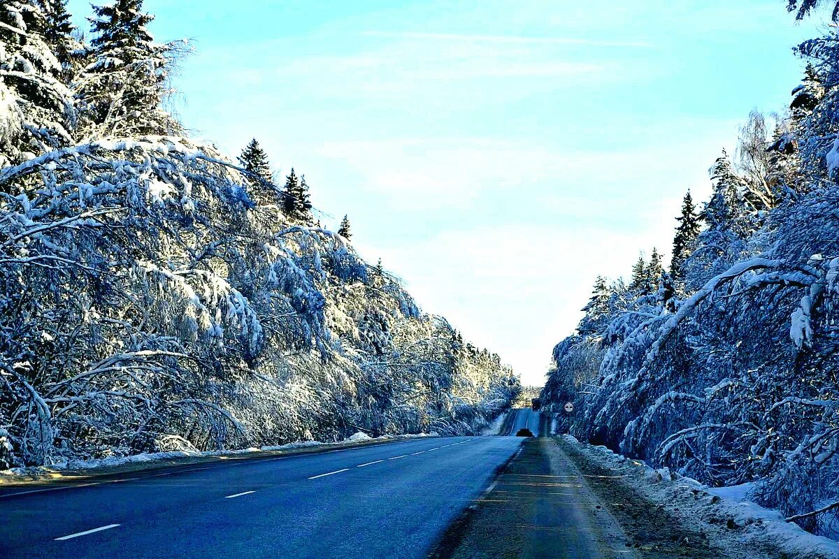 зимняя дорога. зимний пейзаж с дорогой. зима дорога лес. красивые дороги. зимняя дорога в каком году.