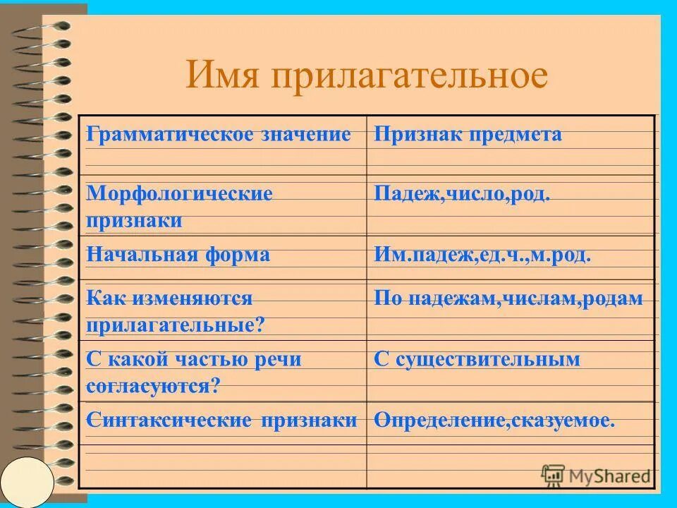Существительное признаки. Имя существительное признаки. Постоянный признак прилагательного. Морфологические признаки существительного. Падеж это непостоянный признак.