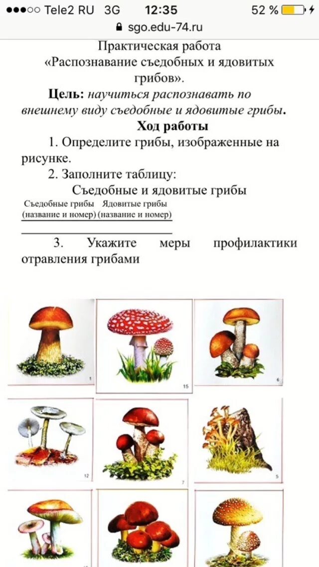 Грибы впр таблица. Съедобные грибы и ядовитые грибы таблица. Лабораторная работа съедобные и несъедобные грибы 7. Лабораторная работа распознавание съедобных и несъедобных грибов. Распознавание съедобных и ядовитых грибов 7 класс.