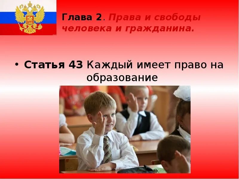 Гражданин дети конституция рф. Право на образование в РФ. Каждый имеет право на образование.