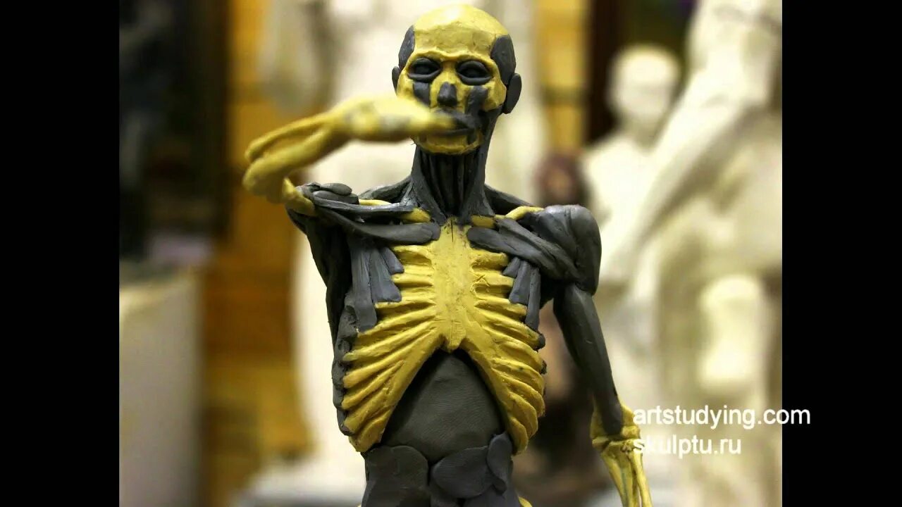 Скелет из пластилина. ПЛАСТИЛИНОВЫЙ скелет. Скелет пластилин. Скульптура скелета из скульптурного пластилина.