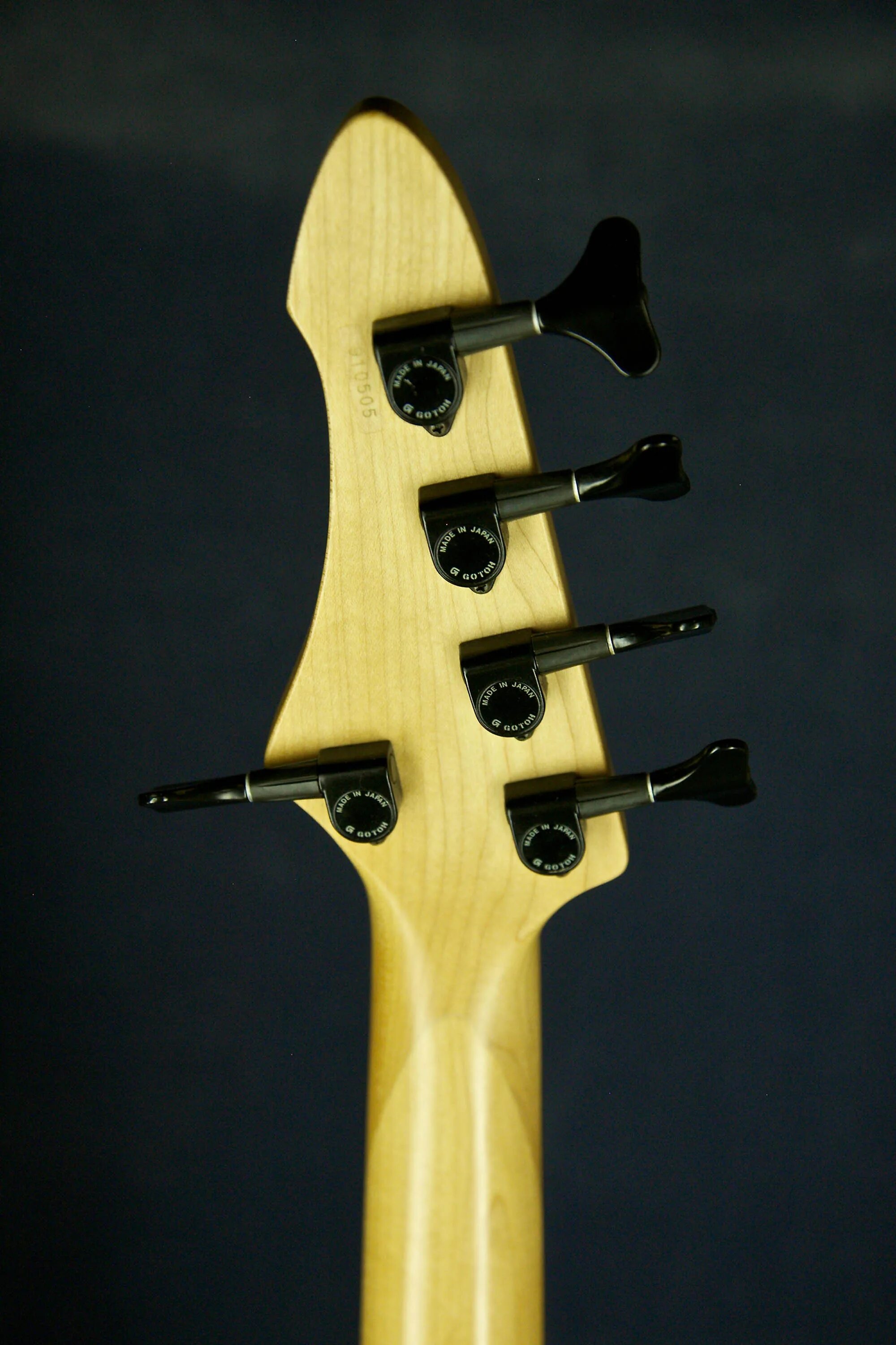 Электрогитара 5. Aria Pro II Bass. Aria Pro II AVB-50. Aria Pro 2 5 струн. Бас-гитара Aria 5 струн.