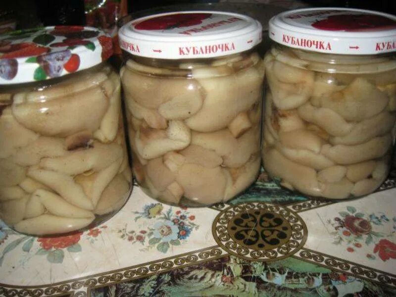 Маслята на зиму. Маслята на зиму заготовки. маслята маринованные на зиму. маслята в банке. маслята в банке на зиму.