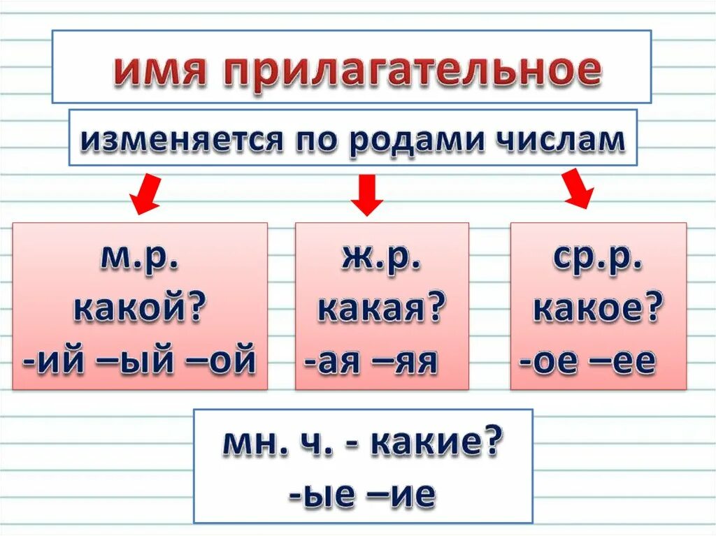 Род прилагательного сильного. Имя прилагательное. Изменение прилагательных по родам. Изменение имен прилагательных. Изменение имен прилагательных по родам.