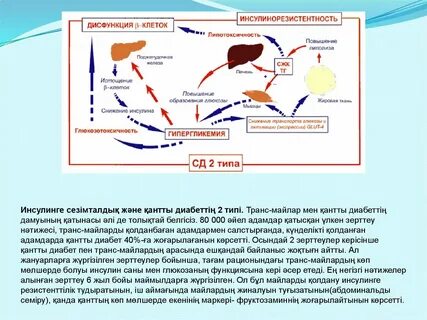 Нохчи секс сағаты