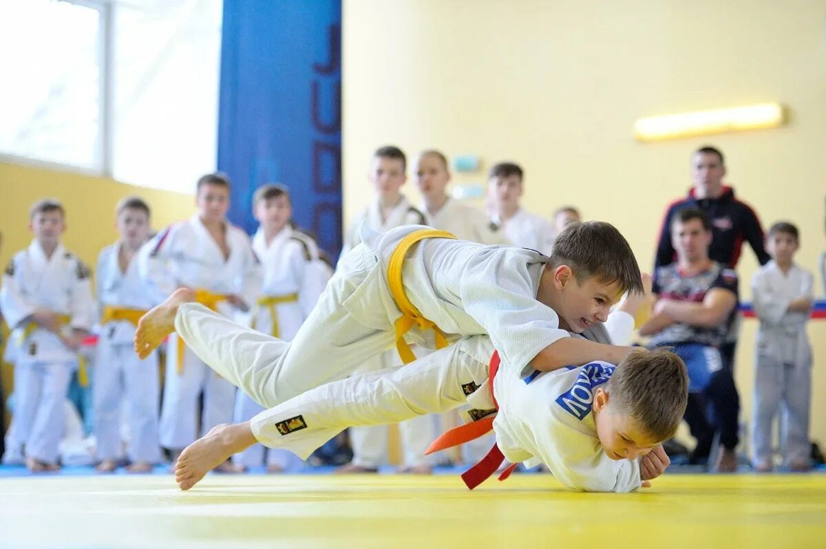 михаил наний дзюдо. дзюдо вазари судья. дзюдо ближайшие соревнования. дзюдо ближайшие соревнования. дзюдо ближайшие соревнования.