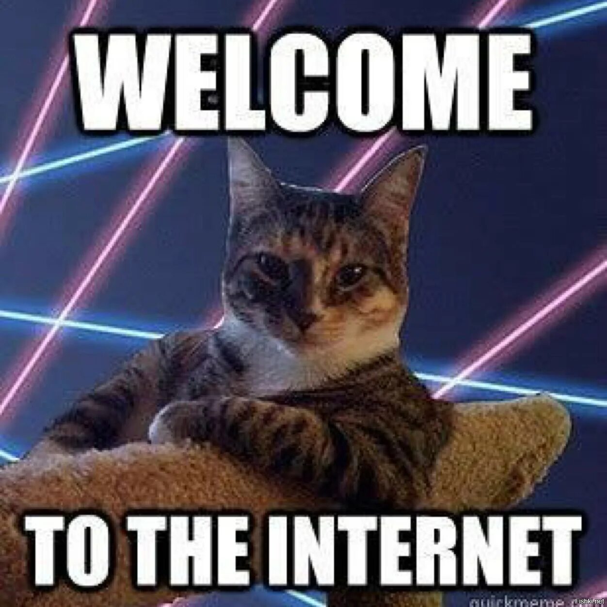 Welcome to rise. Интернет-Мем. Мемы про интернет. Добро пожаловать в интернет. Добро пожаловать в интернет Мем.
