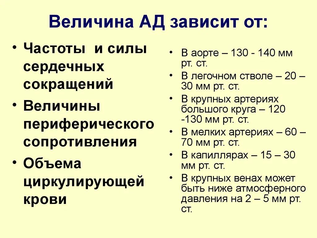 Артериальное давление зависит от частоты сокращений сердца. Величина артериального давления зависит от. Величина ад зависит от. Величина артериального давления крови зависит от. От каких 2 величин зависит совершенная работа