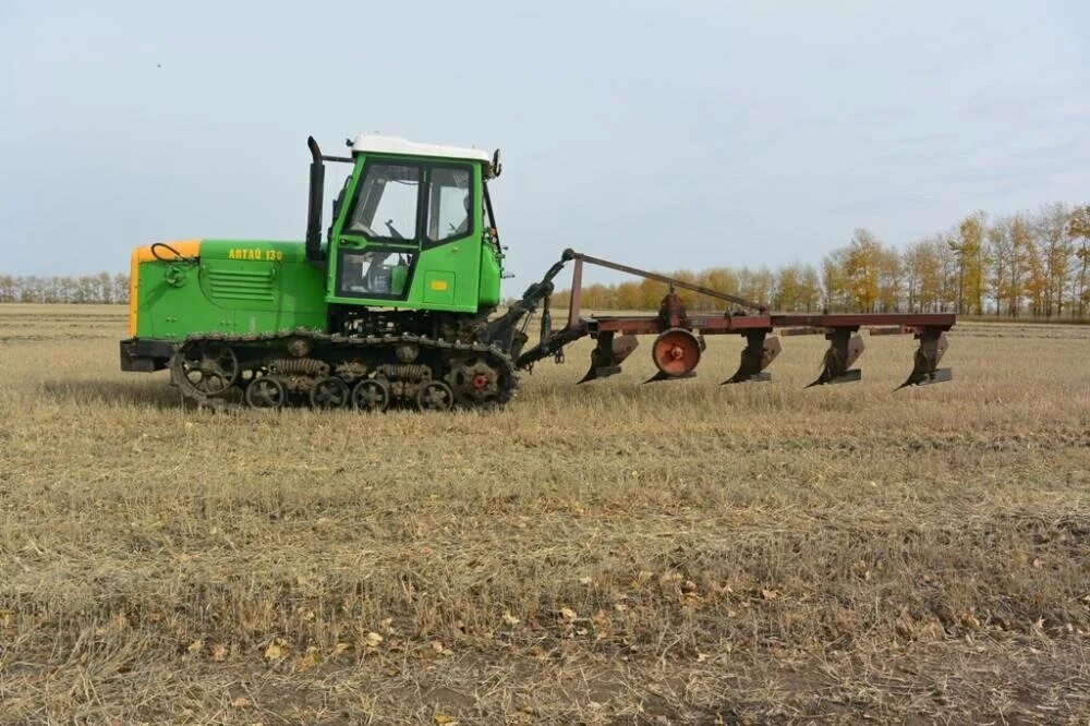 Т-4 трактор. Алтайский трактор. Гусеничный трактор «алтай – 130». Алтайский трактор т250. Трактор атз т4.