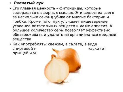 Витамины в луке чесноке