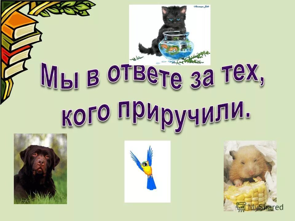 поговорки про собак. мой щенок 2 класс. литературное чтение 2 класс мой щенок презентация. литературное чтение 2 класс мой щенок презентация. литературное чтение 2 класс мой щенок презентация.