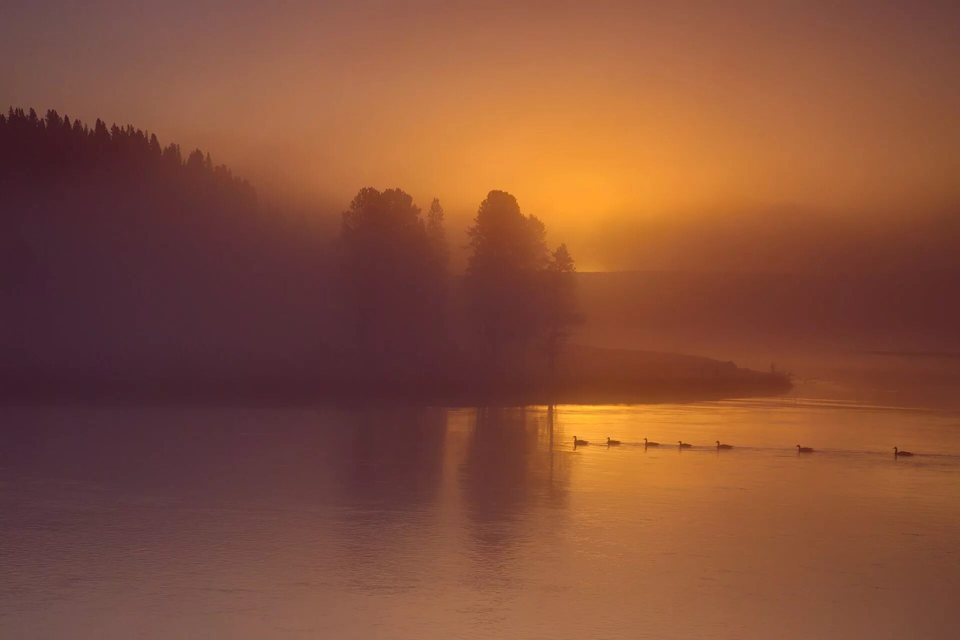 Штиль туман. Закат в тумане. Туманный рассвет на озере. Дымка над озером. Туманное озеро.