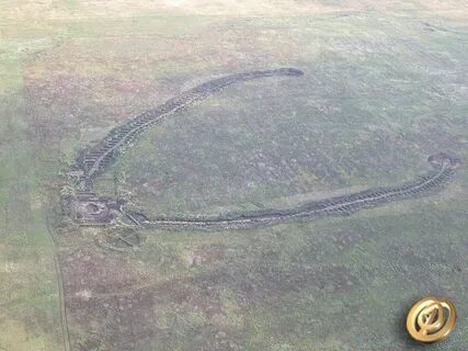 Курганы с усами