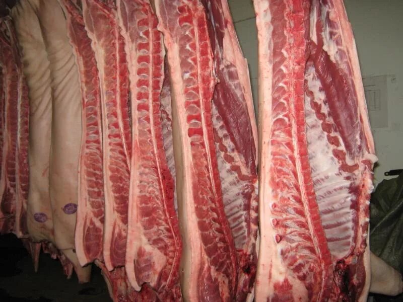 Шейка свиная замороженная. Котлетное мясо агро белогорье. Свинина. Парное мясо. Замороженное мясо свинины.