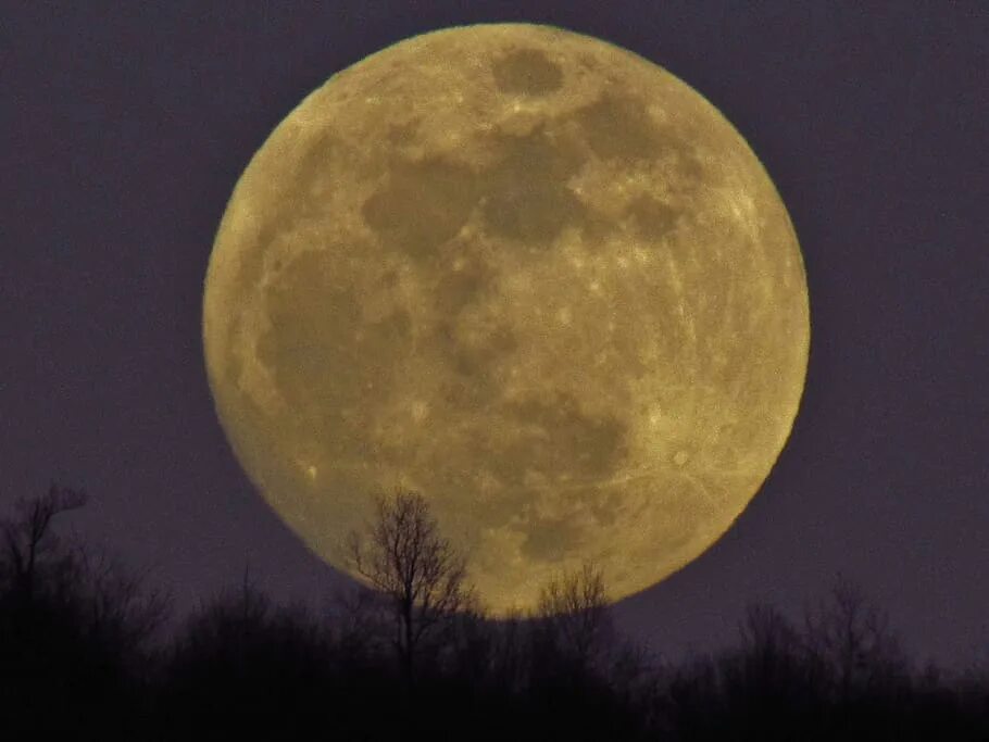 Восходящая луна в марте. Восход Луны. Голубая суперлуна. Житель голубой Луны Moonchester. Kamer ay semboli.