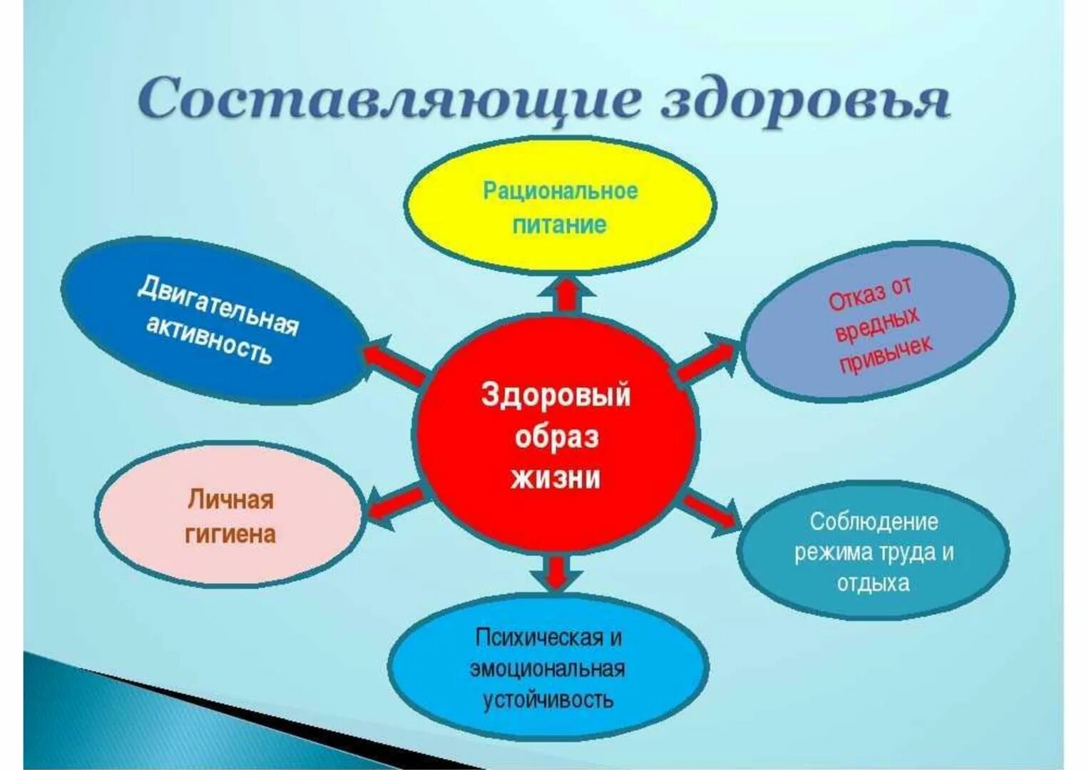 Диагностика здорово образ жизни. Система здорового образа жизни. Основные составляющие ЗОЖ. Составляющие образа жизни. Факторы здорового образа жизни.