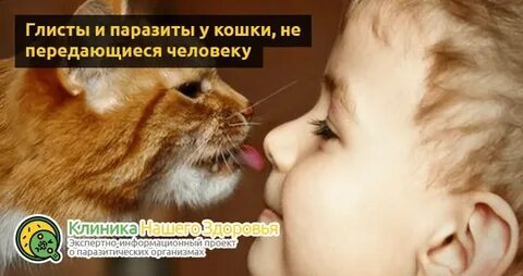 Как передаются глисты от человека к человеку