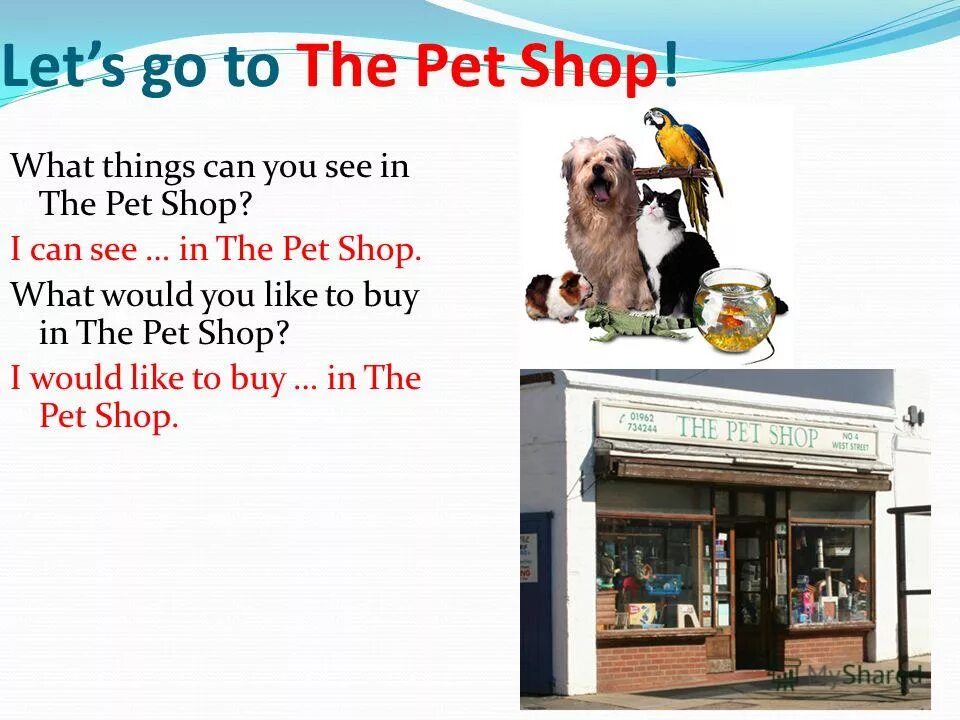 Английский презентация Petshop. Pet shop presentation. In a Pet shop текст.. Pets презентация