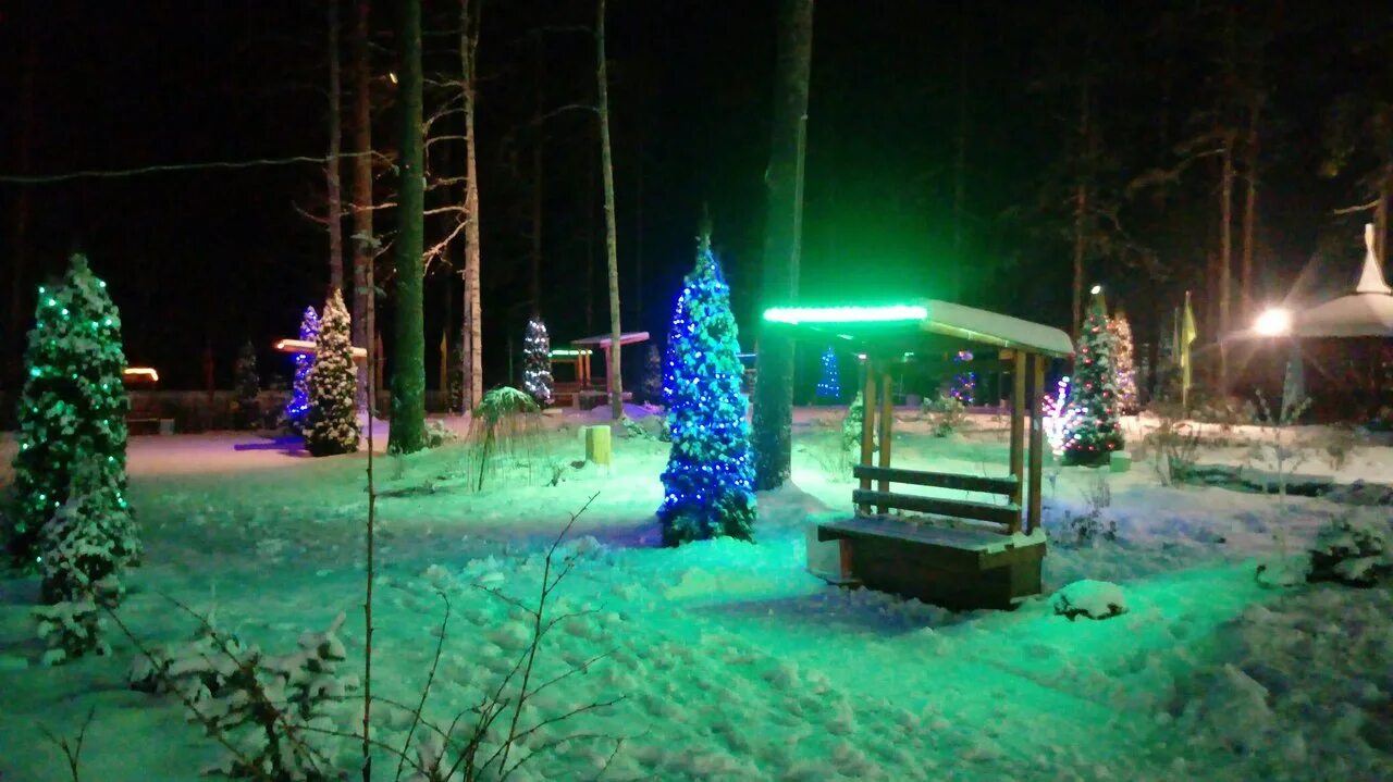 Времена года клуб зеленый город. Времена года клуб зеленый город