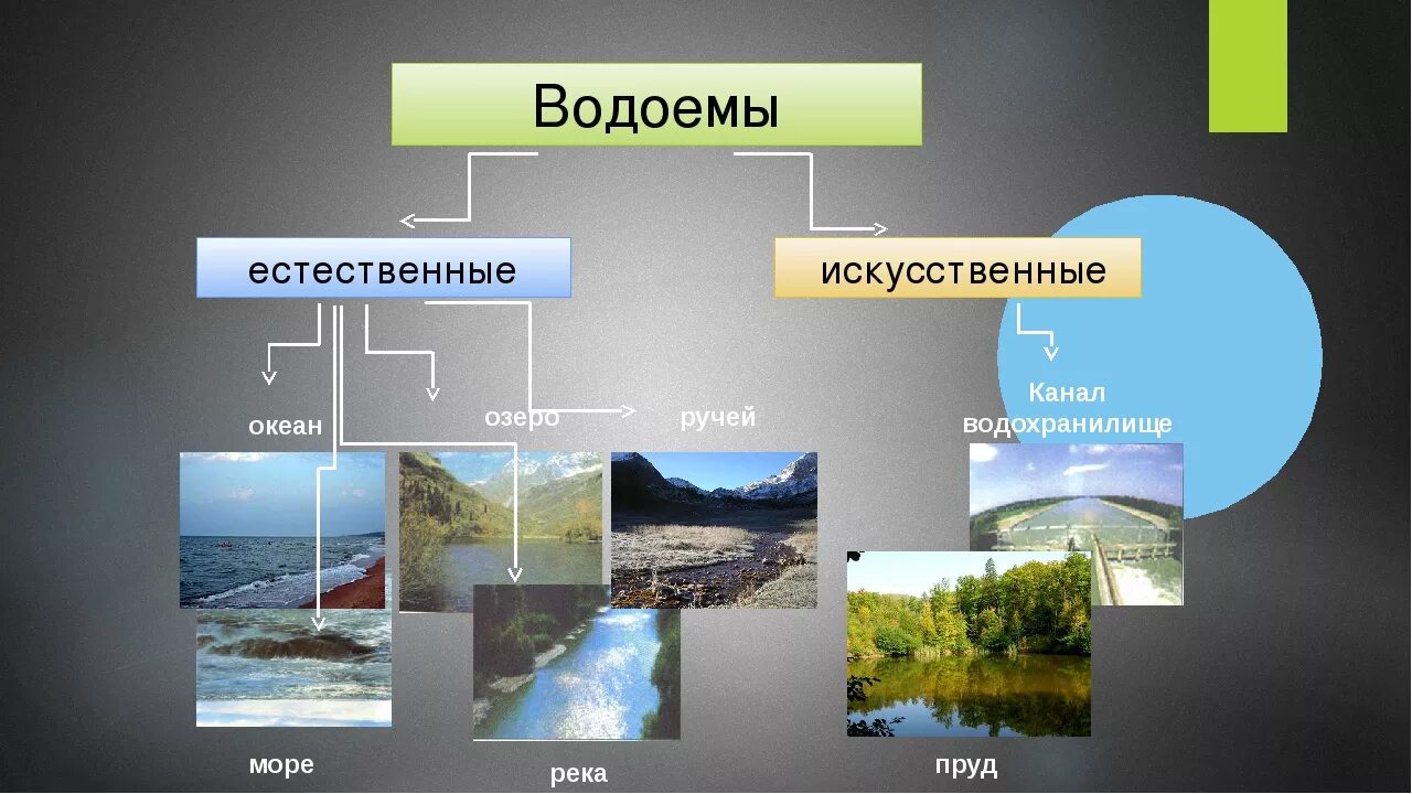 Виды водоемов. Естественные и исксственные водоёмы. Естественные водоемы и искусственные водоемы. Водоемы естественного происхождения.