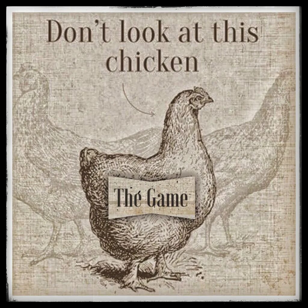 Please don t see me. Don&#039;t look at this chicken. лост чикен. don&#039;t look a chicken. chicken game don&#039;t look.