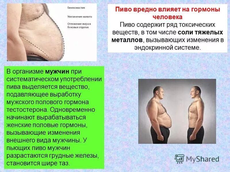 Гормональное здоровье женщины. Что будет если мужчина принимает женские гормоны. Эффекты эстрогена и прогестерона. Что будет если мужчина принимает женские гормоны. Что будет если мужчина принимает женские гормоны.