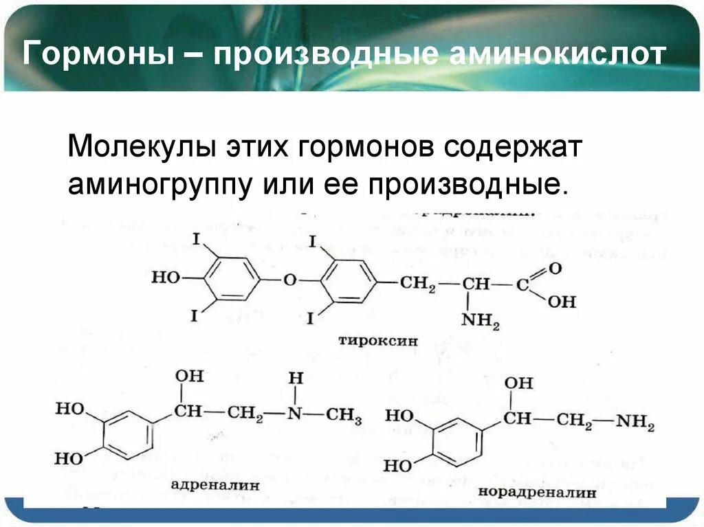 В ферменты входят гормоны. Тироксин гормон производные аминокислот. Гормоны являющиеся производными аминокислот. Гормоны — производные аминокисл. "Гормоны"-производные высших жирных кислот.