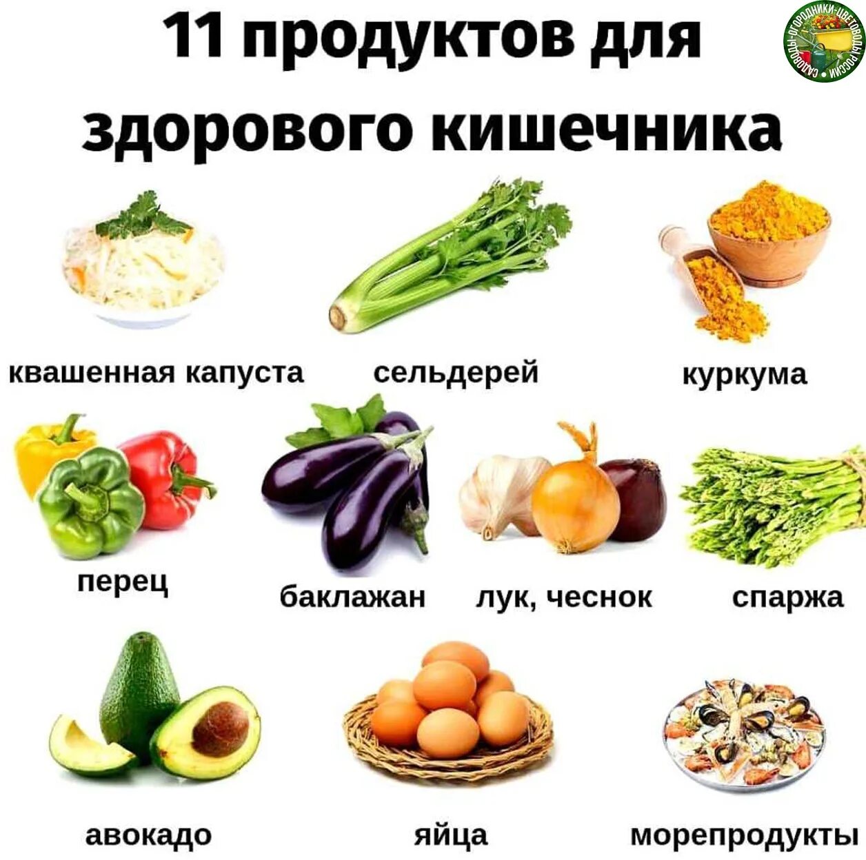 Что надо есть чтобы быть толстым. Полезные продукты для кишечника. Овощи и фрукты для кишечника. Фрукты полезные для кишечника. Продукты полезные для желудка.