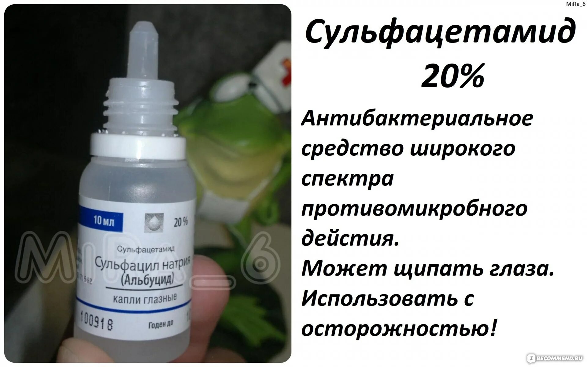 Можно кошке капать альбуцид. Капли в нос. Сложные капли в нос. Сложные капли в нос для взрослых. Глазные капли для закапывания в нос ребенку.