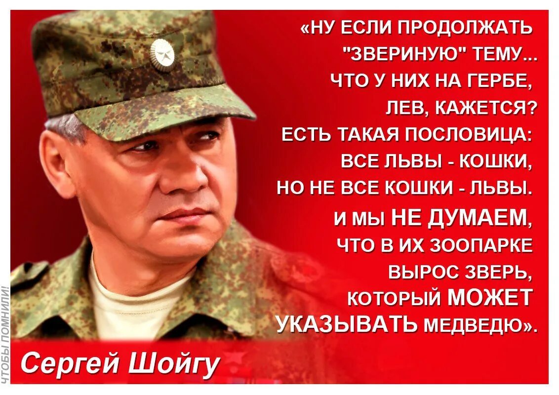 Высказывания Шойгу об армии. Афоризмы о Российской армии. Цитаты про армию.