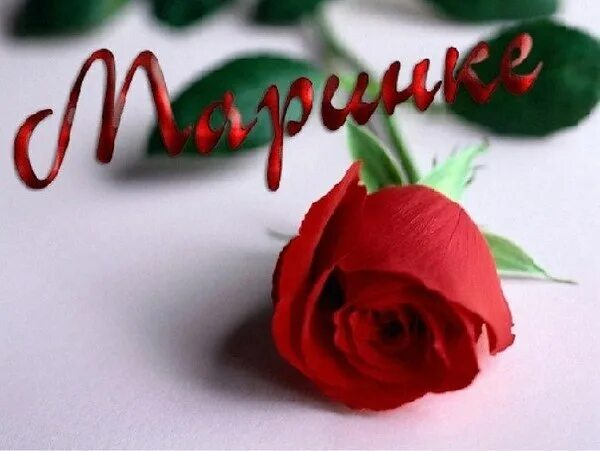 цветы для марины. марины добрые девушки. прекрасного дня от блондинки. цветочки для маришки. маргарита ополева.