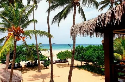 Araliya beach отзывы