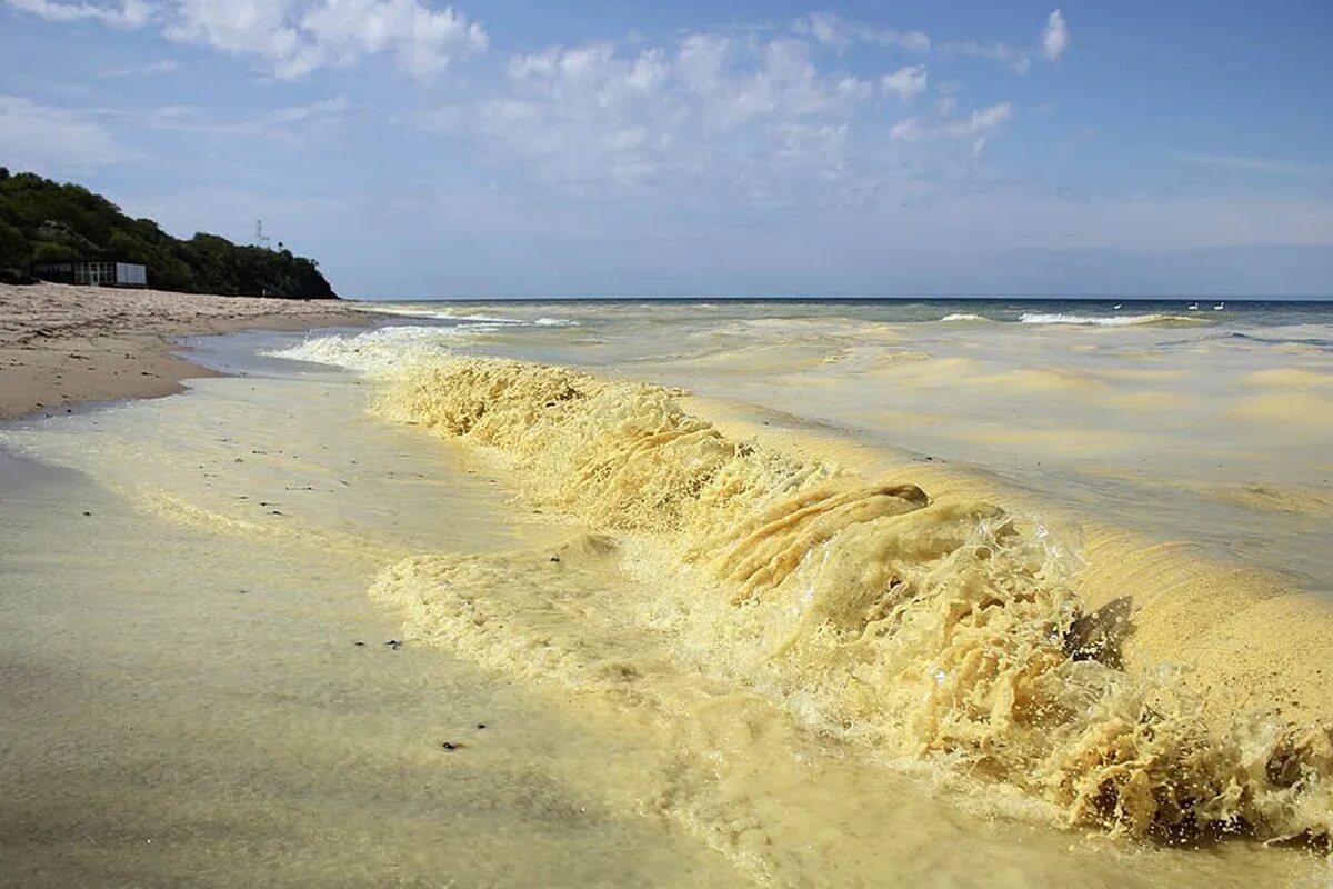 Желтое море является морем. Желтое море китай. корея моря желтое море. жёлтое море (2010). кндр желтое море.