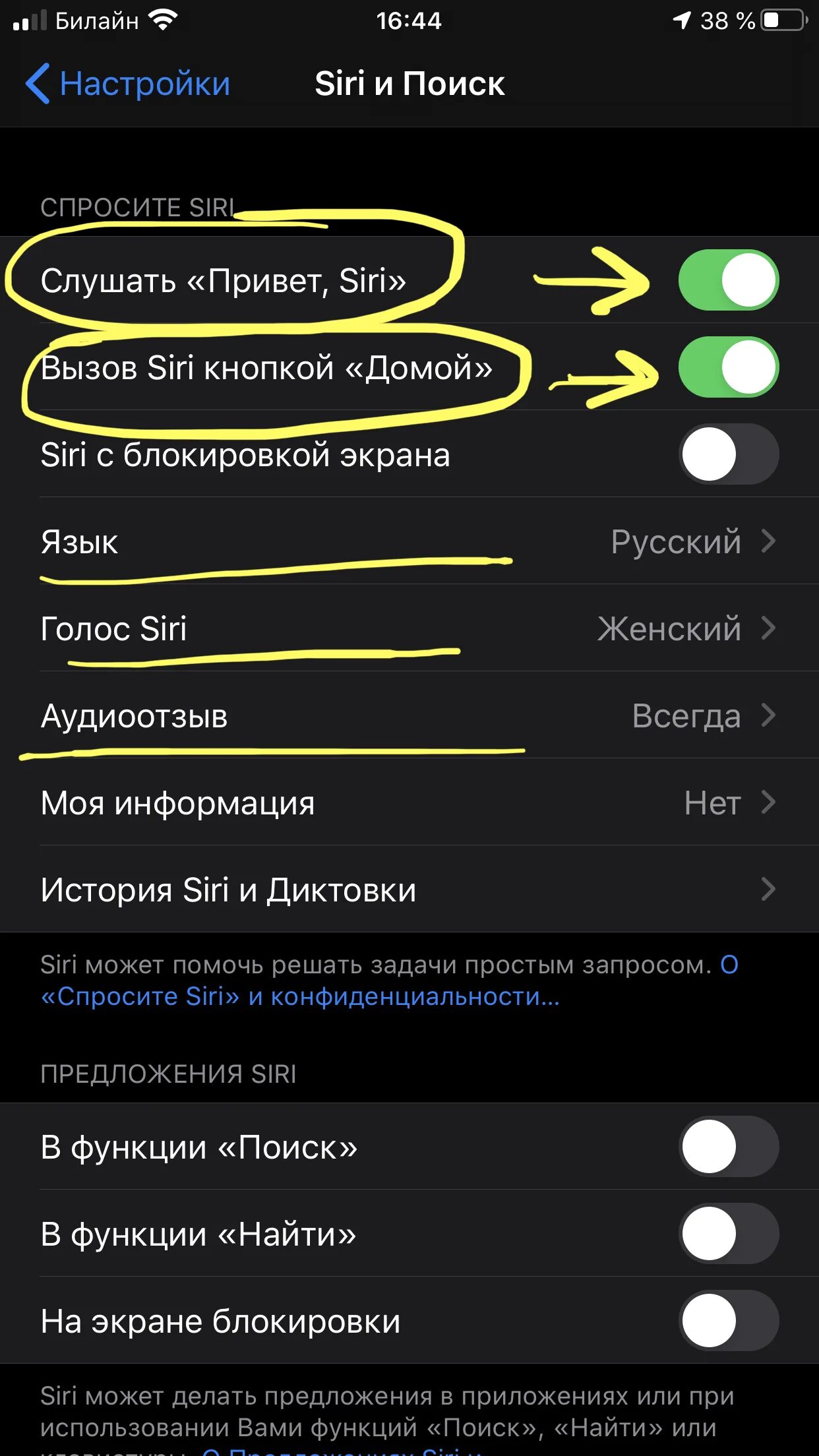 Функции сири. Как настроить сири. Как настроить сири на айфоне. Настройка голоса сири.