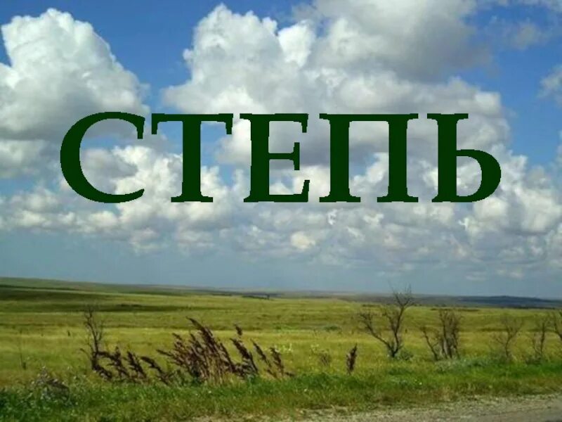 Расположение зоны степей 4 класс Степи окружающий мир четвертый класс