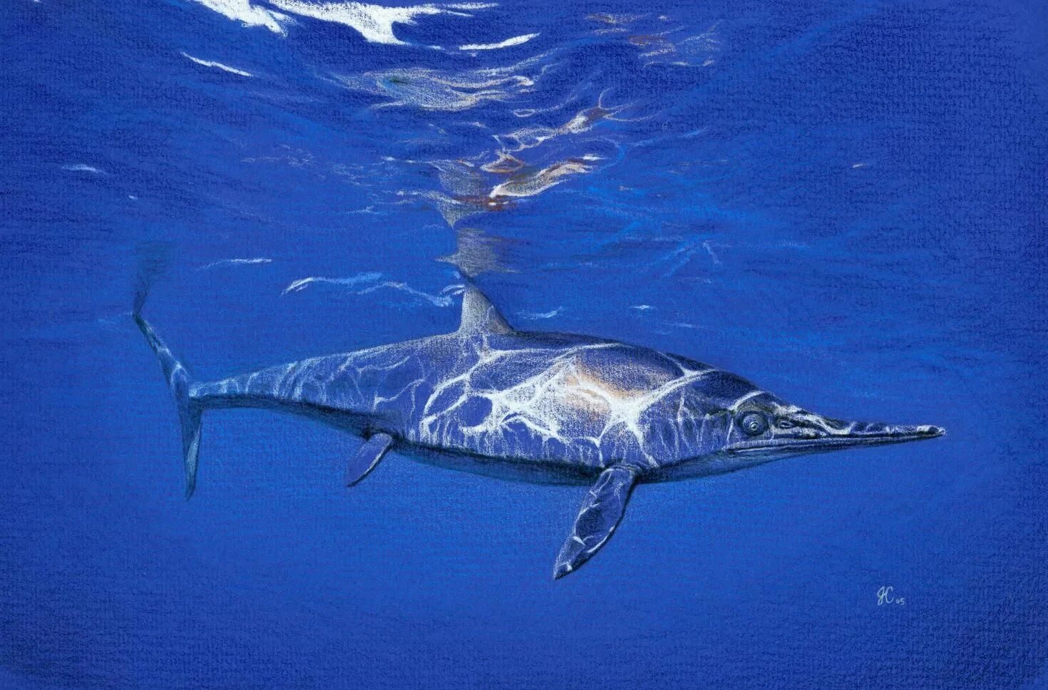 Акула ихтиозавр. Leninia Stellans Ихтиозавр. Ихтиозавры Триасового периода. Ichthyosaurus communis. Ихтиозавры Julius Csotonyi.