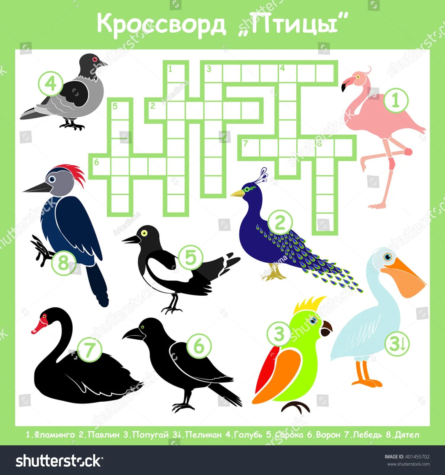 Птицы 5 класс 8. Кроссворд про птиц. Кроссворд про птиц для детей. Головоломка птицы. Кроссворд про птиц с ответами.