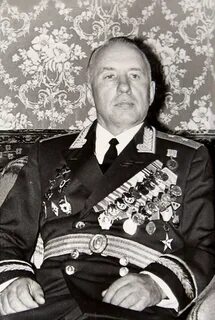 Васильевич википедия