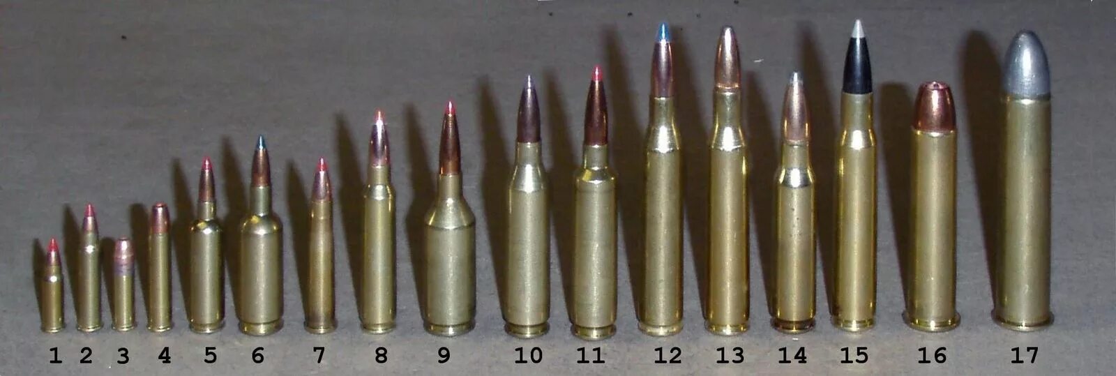 308 Win Калибр в мм. Оружие на калибре 223 WSSM. Патроны калибра 17 HMR. 22 Hornet Калибр. Калибр 3 мм