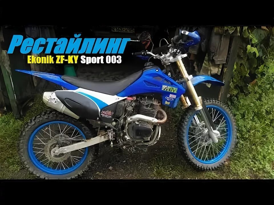 Sport 003 2024