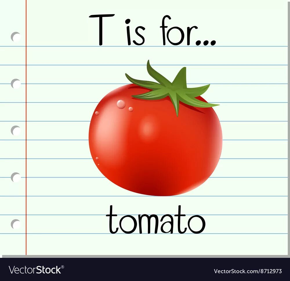 Буква t английская карточка. Letter t is for. Tomato на английском. Letter t Flashcards for Kids. Tomatoes транскрипция