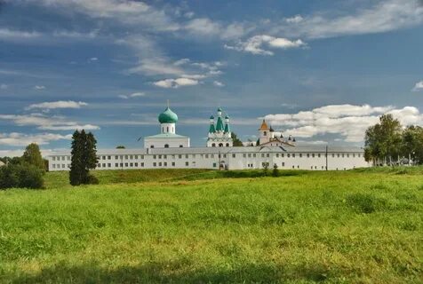 Поле авито