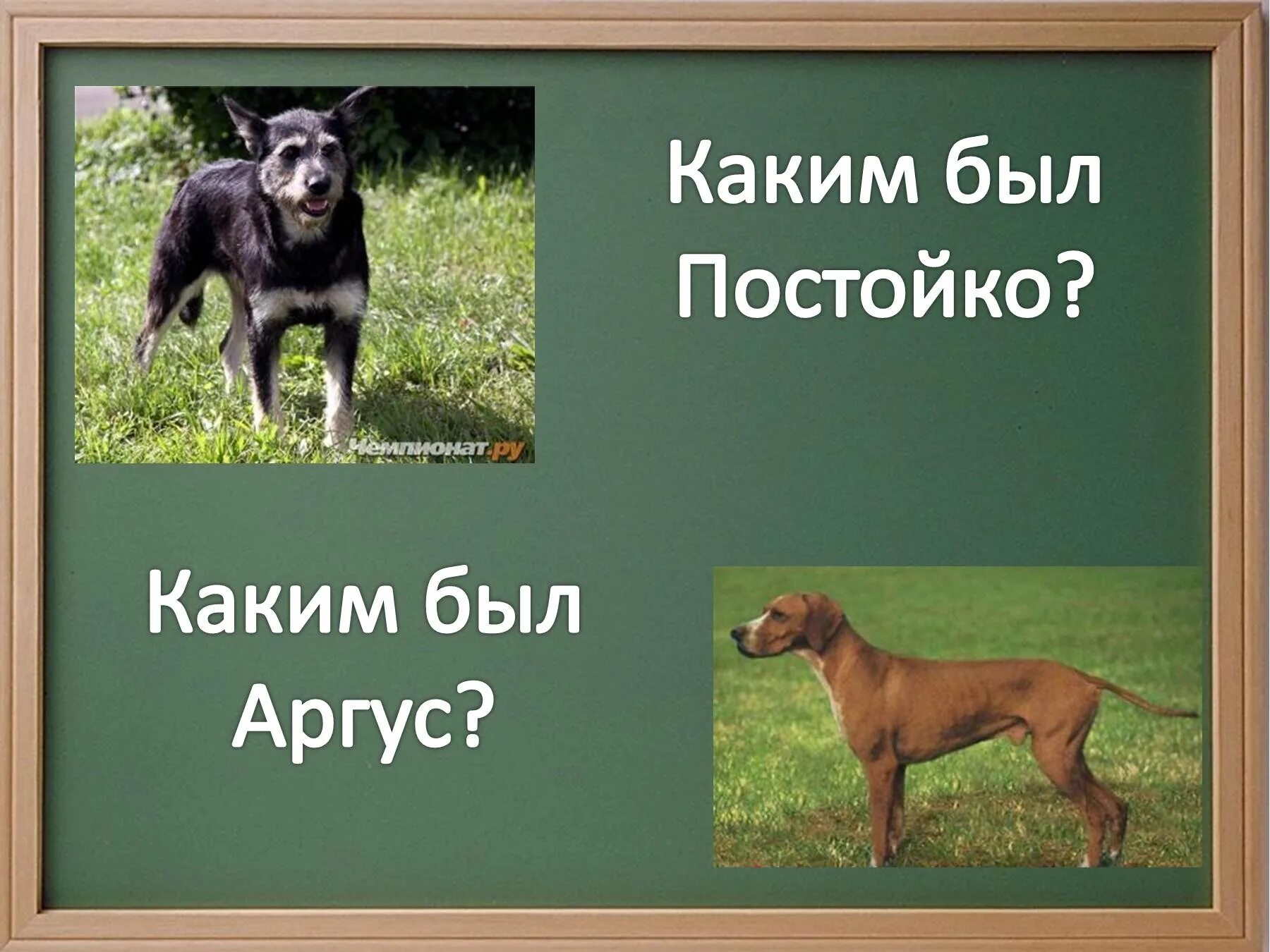 Мамин-сибиряк постойко иллюстрации. Детские тени мамин сибиряк. Постойко мамин сибиряк рисунок. Постойко мамин сибиряк слушать. Постойко мамин сибиряк.